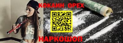 гидра Будённовск