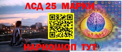 гидра Будённовск