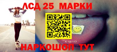 гидра Будённовск