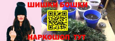 гидра Будённовск