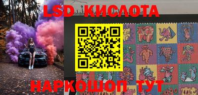 гидра Будённовск