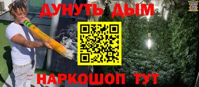 гидра Будённовск
