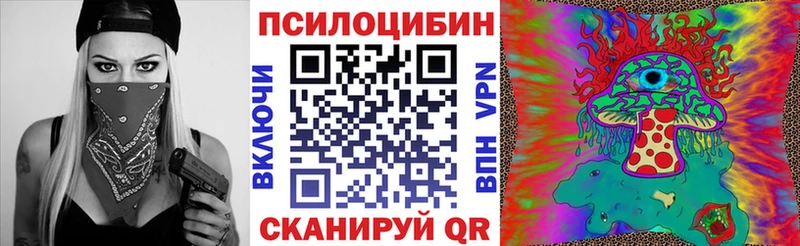 кракен как зайти Усть-Джегута Псилоцибиновые грибы прущие грибы