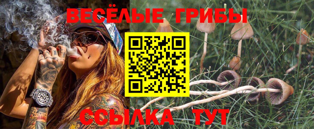 Усть-Джегута  Галлюциногенные грибы GOLDEN TEACHER  Галлюциногенные грибы Psilocybine cubensis  Вход с VPN 